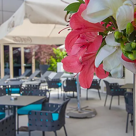 Hotel Ramada By Wyndham Parc 4*